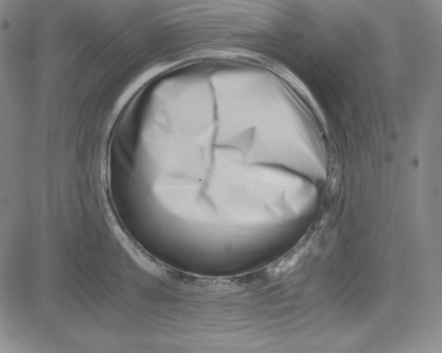 X0000081490811200702021921