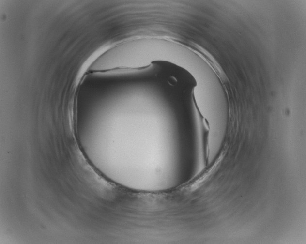 X0000081490812200702021921