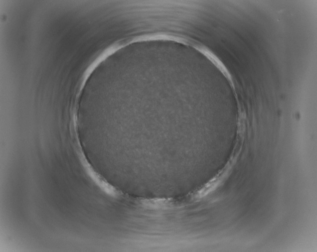 X0000081490813200702021921