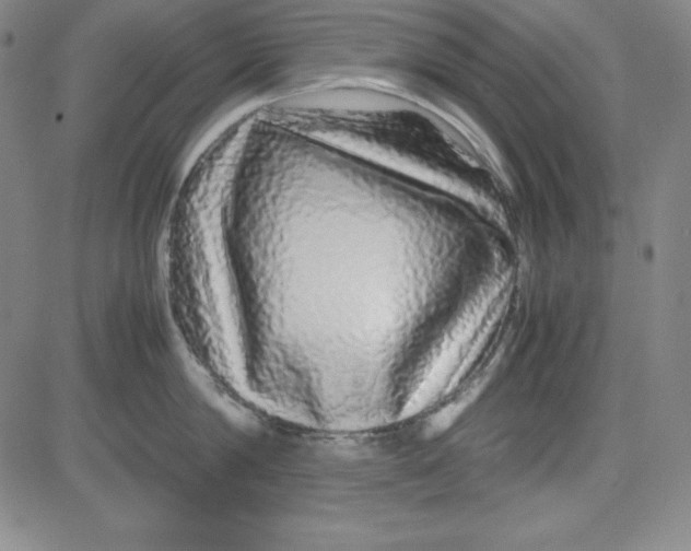 X0000081490814200702021921