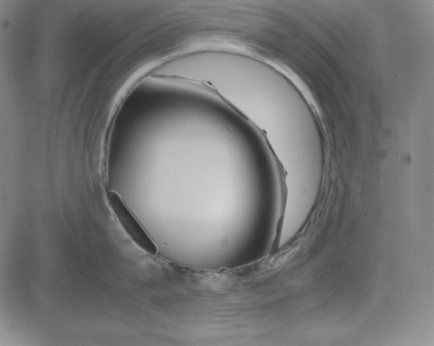 X0000081490815200702021921