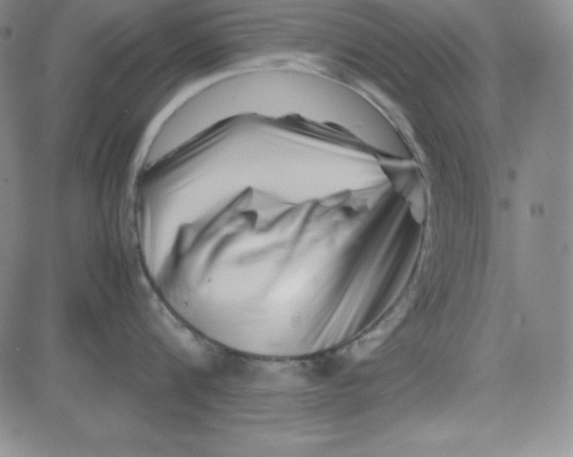 X0000081490816200702021921