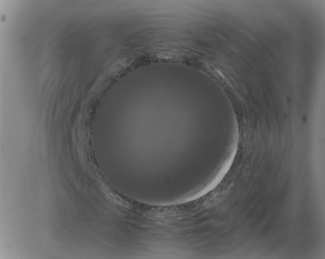 X0000081490817200702021920