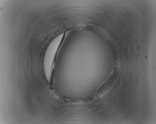 X0000081490818200702021920