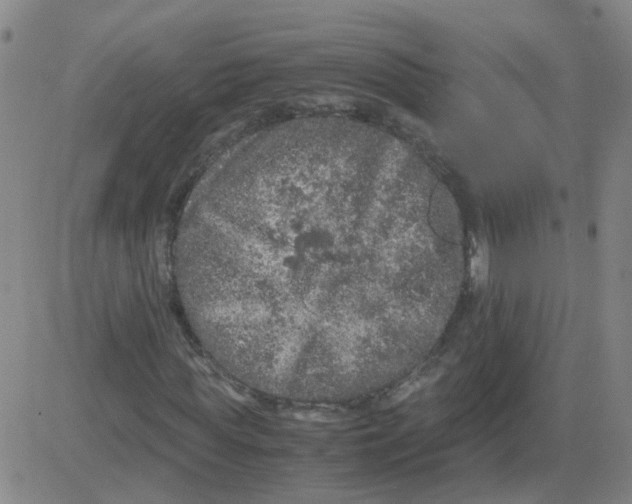 X0000081490819200702021920