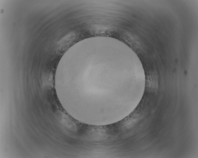 X0000081490820200702021920