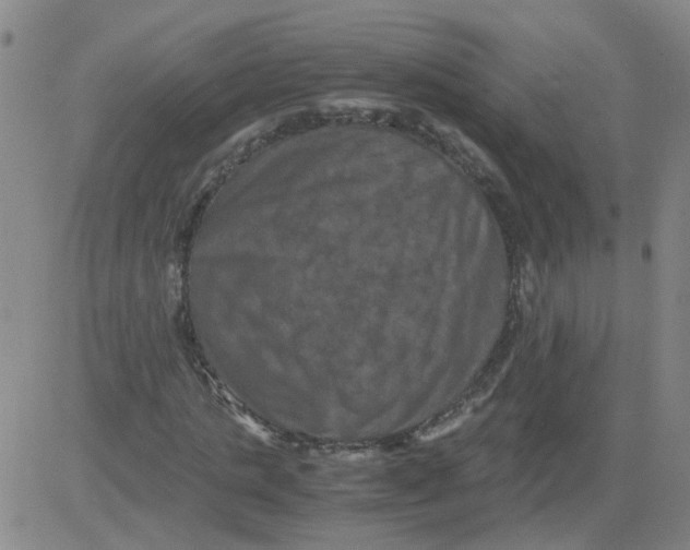 X0000081490821200702021920