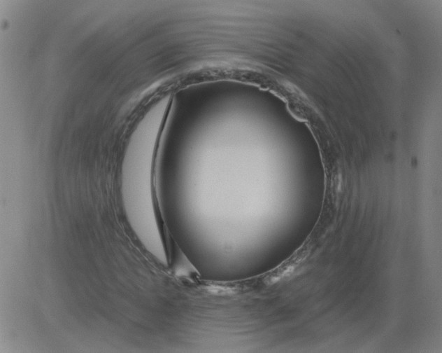 X0000081490822200702021920