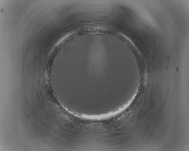 X0000081490823200702021920