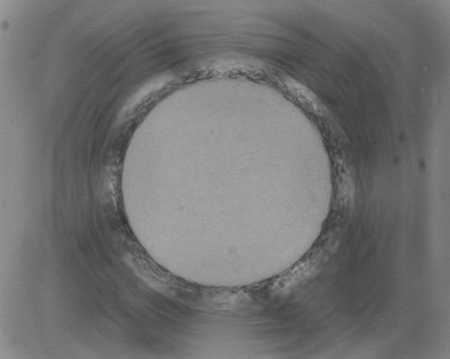 X0000081490824200702021920