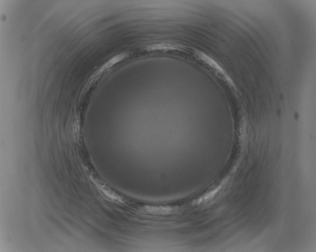 X0000081490825200702021920