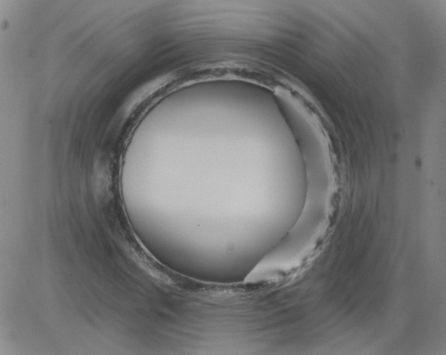 X0000081490826200702021920