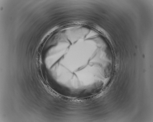 X0000081490827200702021920