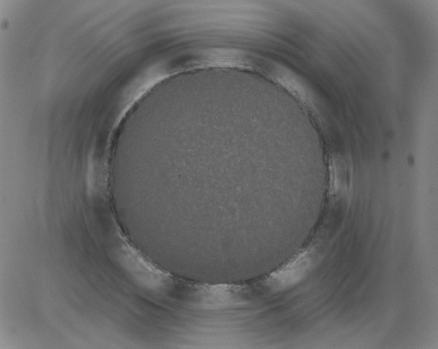 X0000081490828200702021920