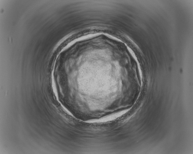 X0000081490829200702021920