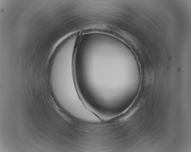 X0000081490830200702021920