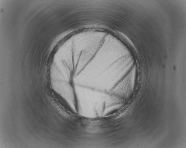 X0000081490831200702021920