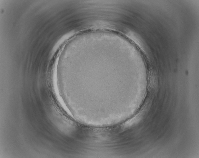 X0000081490832200702021920