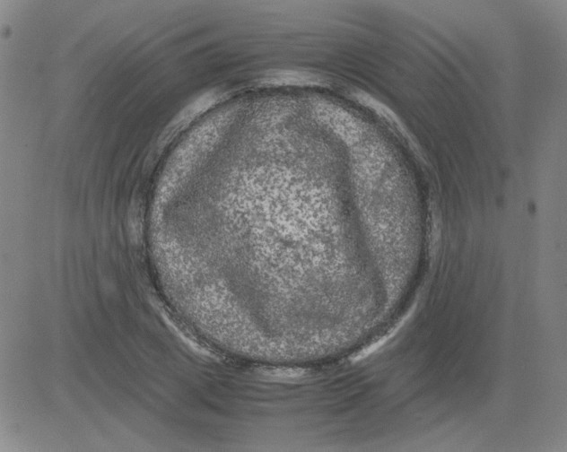 X0000081490833200702021920