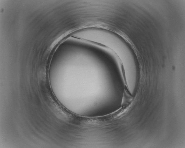 X0000081490834200702021921