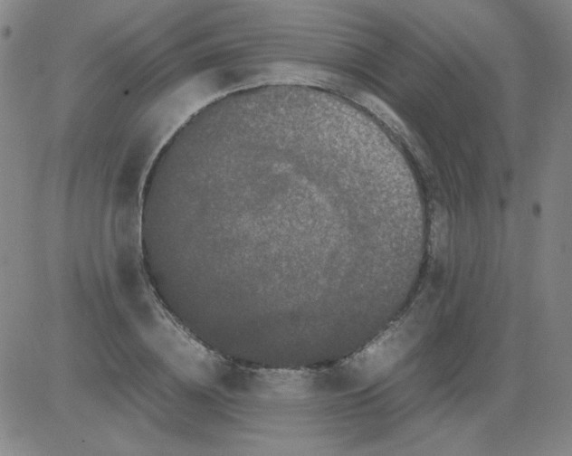 X0000081490836200702021921