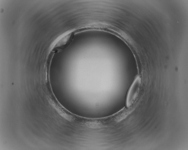 X0000081490838200702021921