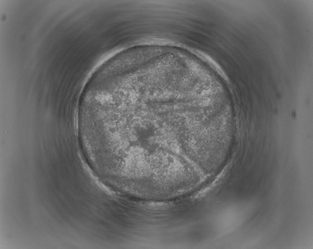 X0000081490839200702021921