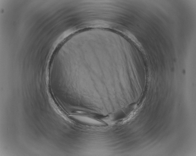 X0000081490840200702021921