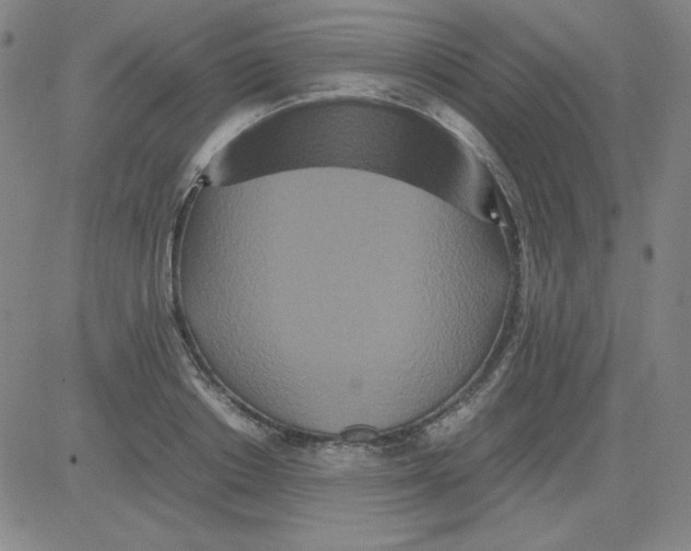 X0000081490842200702021921