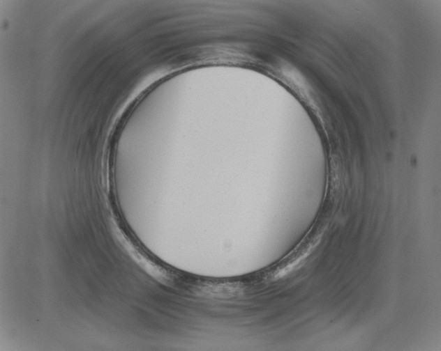 X0000081490843200702021921