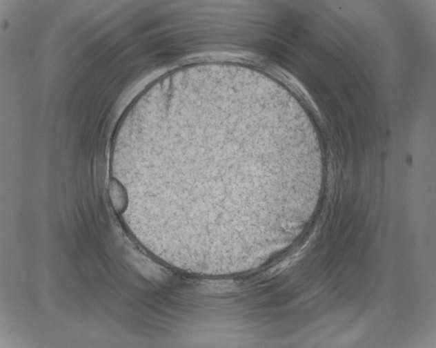 X0000081490844200702021921