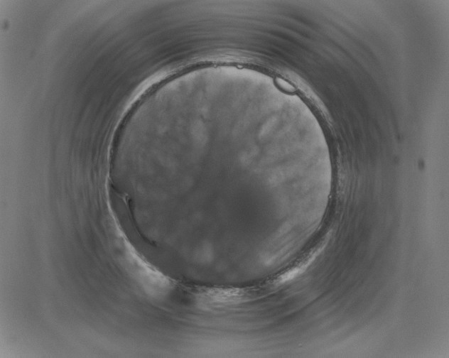 X0000081490845200702021921