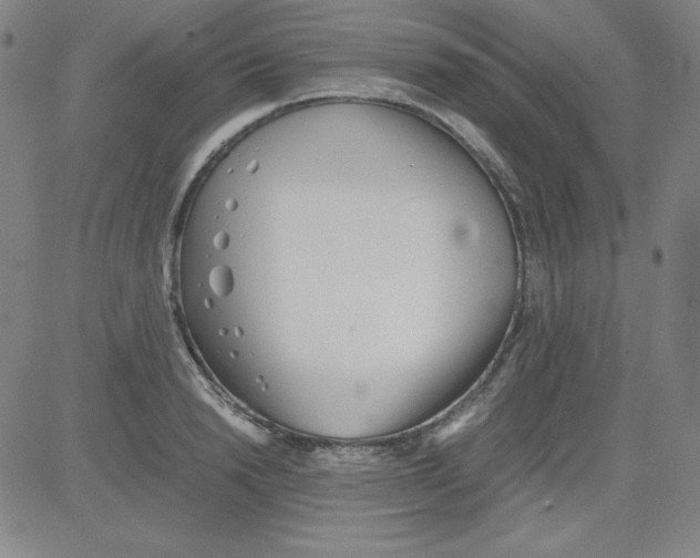 X0000081490846200702021921