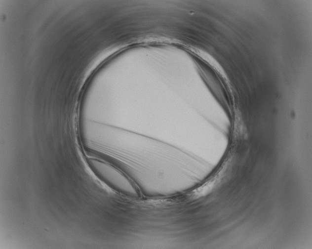 X0000081490847200702021921