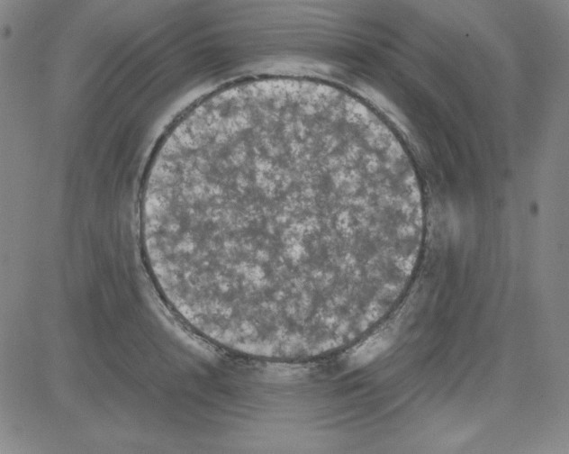 X0000081490848200702021921