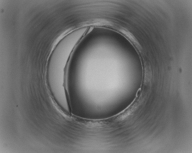 X0000081490850200702021921