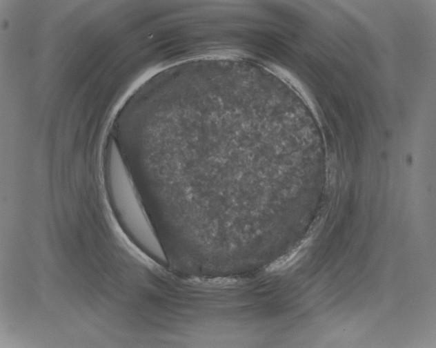 X0000081490851200702021921