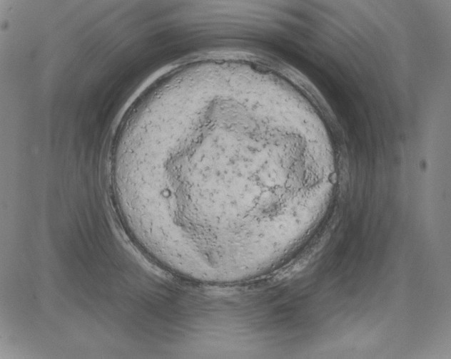 X0000081490852200702021921