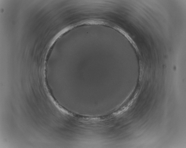 X0000081490853200702021921