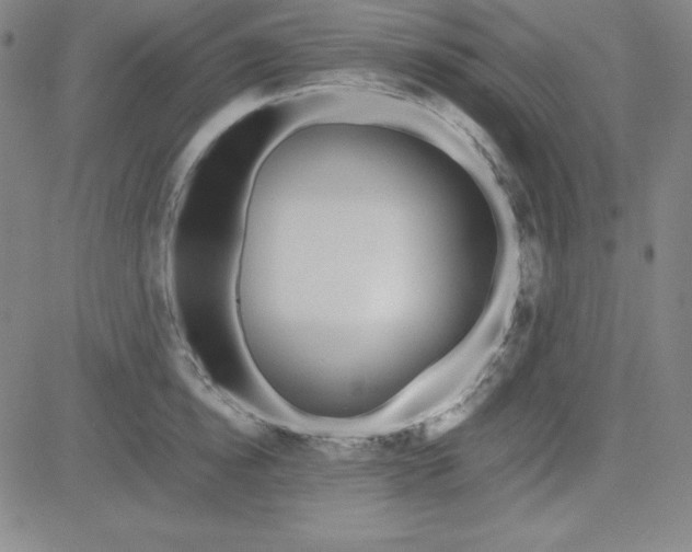 X0000081490854200702021921