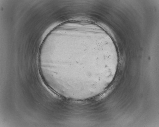 X0000081490855200702021921