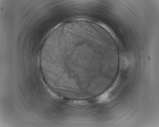 X0000081490857200702021921