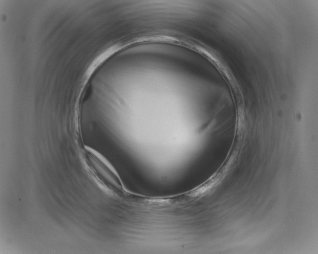 X0000081490858200702021921