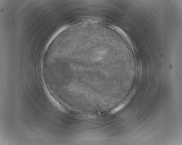 X0000081490859200702021921