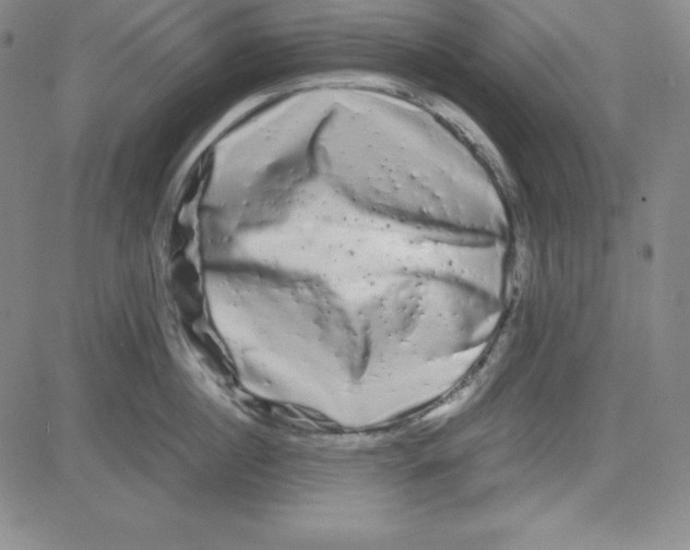 X0000081490860200702021921