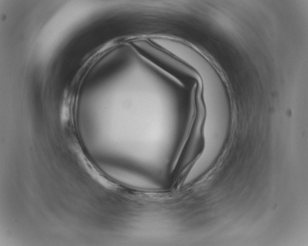 X0000081490862200702021921