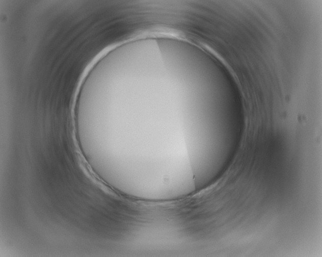 X0000081490864200702021921