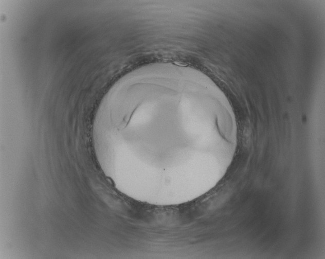 X0000081490865200702021920