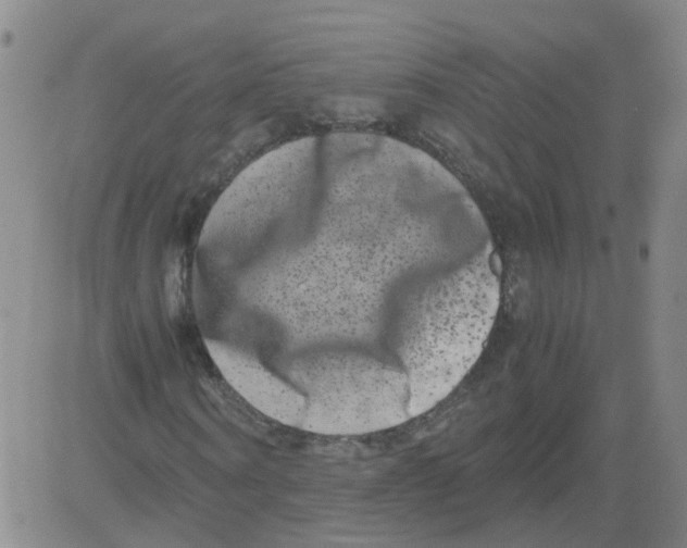 X0000081490866200702021920