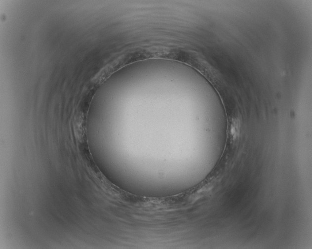 X0000081490867200702021920